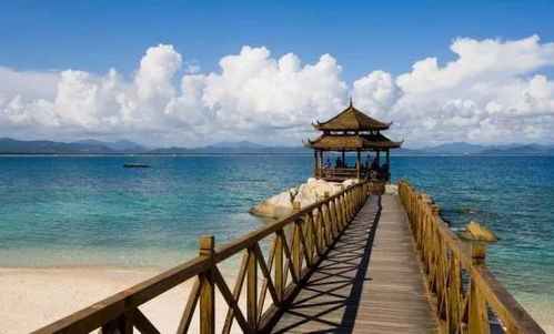 海南旅游正當時 逃離寒冷，盡享海島暖冬的愜意時光